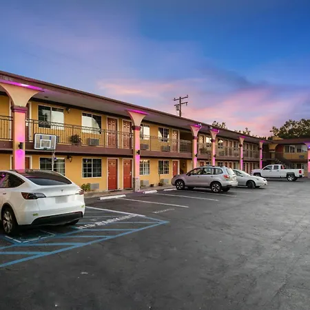 Sky Palm Motel - Orange-3