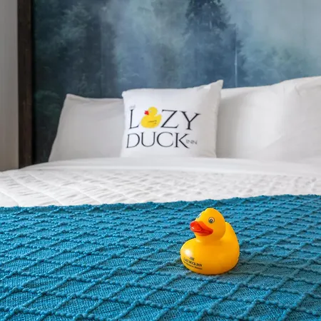 The Lazy Duck Inn-2