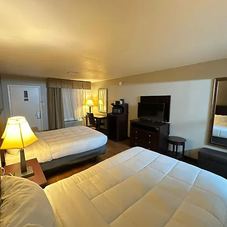 Loyalty Inn Gainesville-2