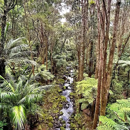 Bk'S Pohutukawa Lodge-2