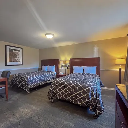 Alpine Inn & Suites Rockford-3