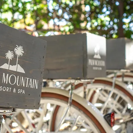 Palm Mountain Resort & Spa-3