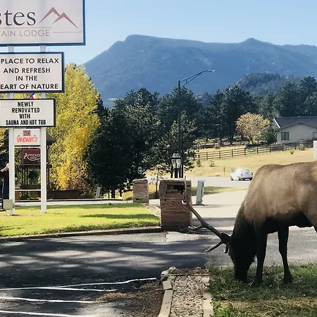 Estes Mountain Inn-3