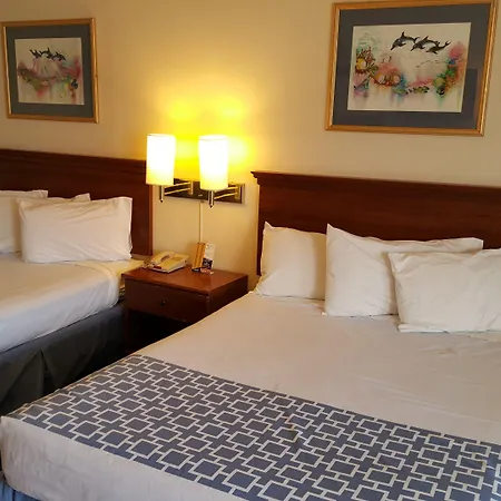 Flamingo Inn-3