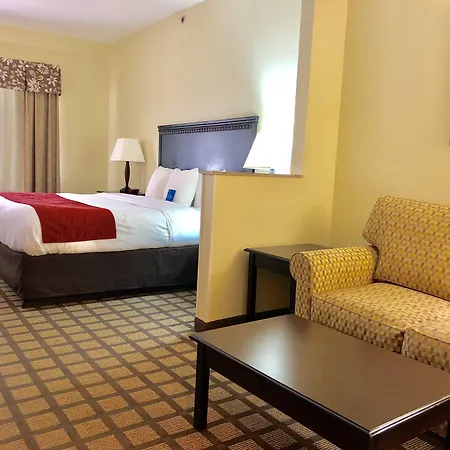 Comfort Inn & Suites Montgomery Eastchase-3