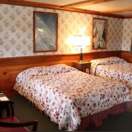 White Trellis Motel-2