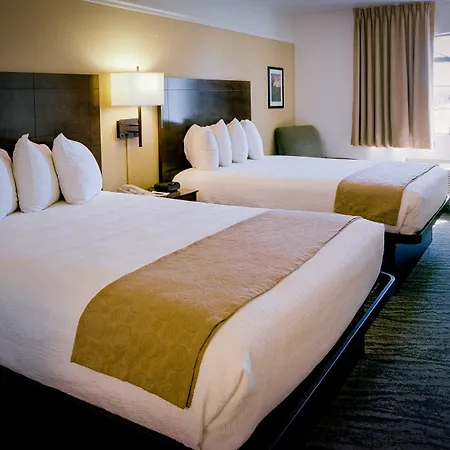 Pines Inn & Suites-2