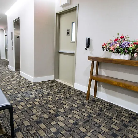 Leon Hotel Les-2