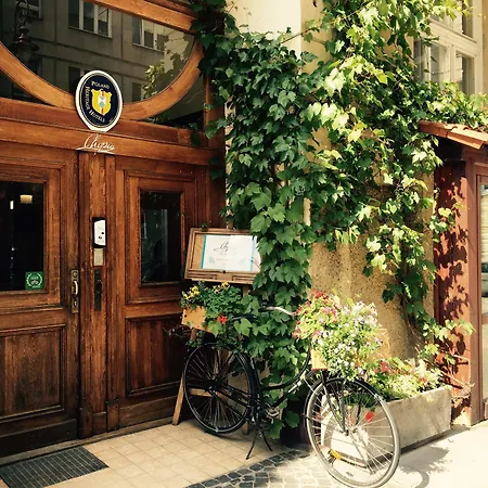 Chopin Boutique-2