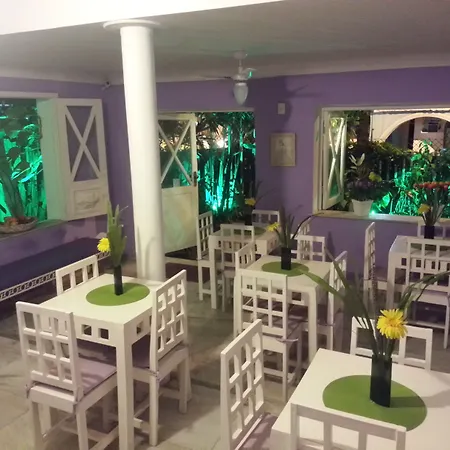Hotel Pousada Papaya Verde-3