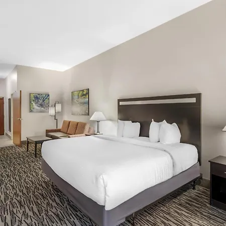 Best Western Plus Mcdonough Inn & Suites-3
