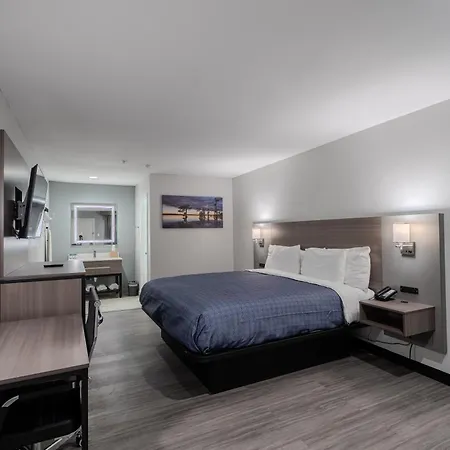 Executive Inn Of Arlington, Near At&T Stadium-3