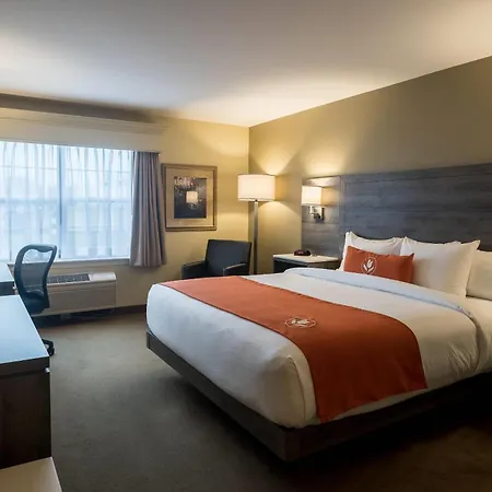 Amsterdam Inn & Suites, An Ascend Collection Hotel-3