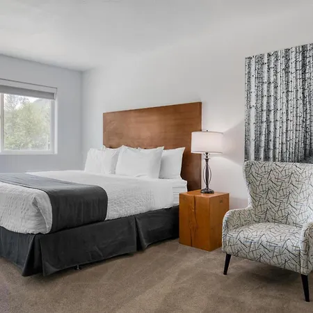 Stoke Hotel Surestay Collection By Best Western-3