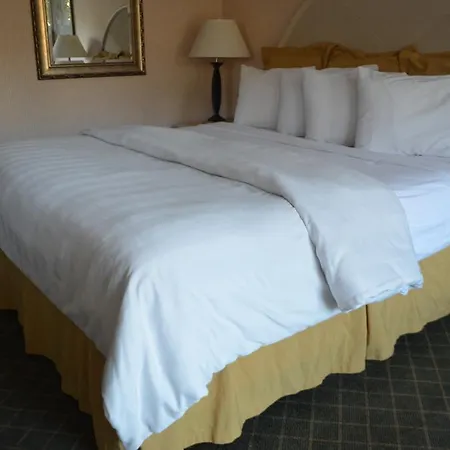 Chapel Hill University Inn-2