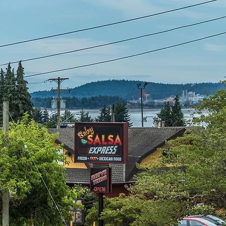 Castaway Motel-2