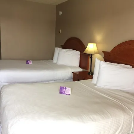Nice Inn Edmonton-2