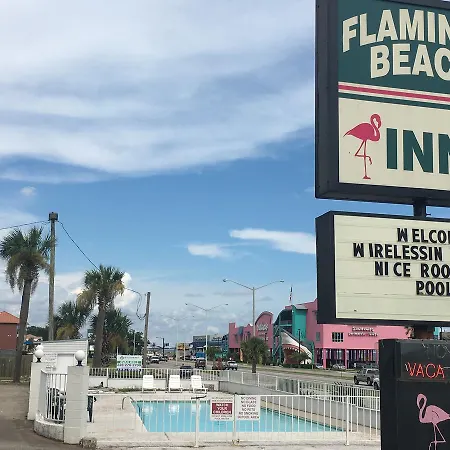 Flamingo Beach Inn-3