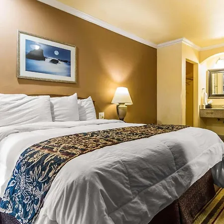 Rodeway Inn & Suites Near The Coliseum & Arena-3