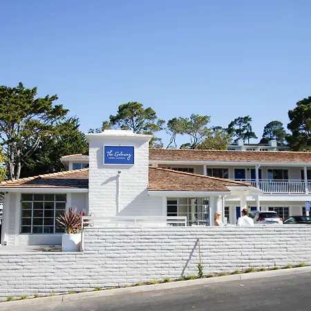 Le Petit Pali At Ocean Ave-2
