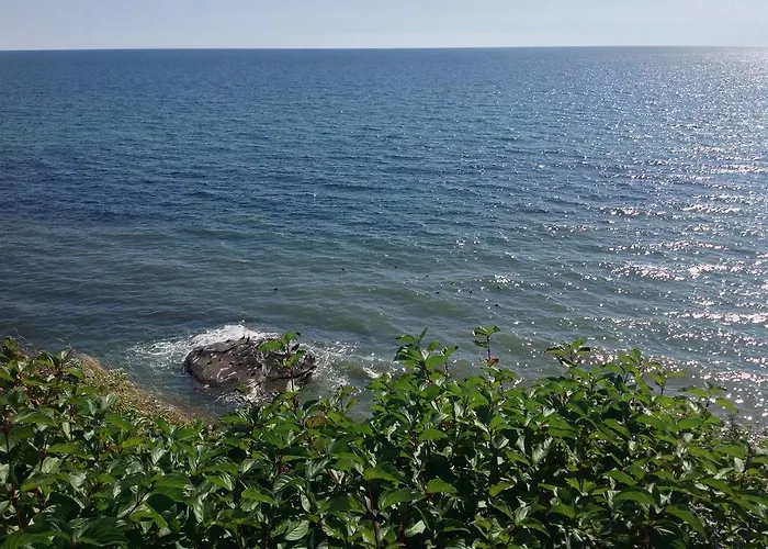 Motel Seal Rock