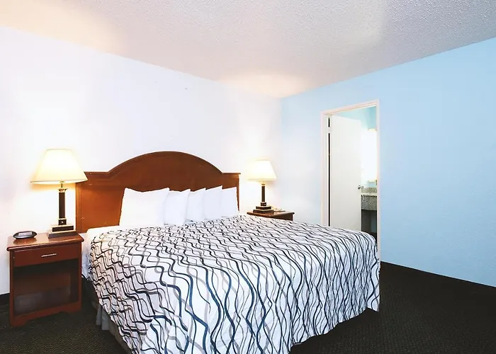Pet Friendly hotel: Sky-Palace Inn & Suites Wichita East