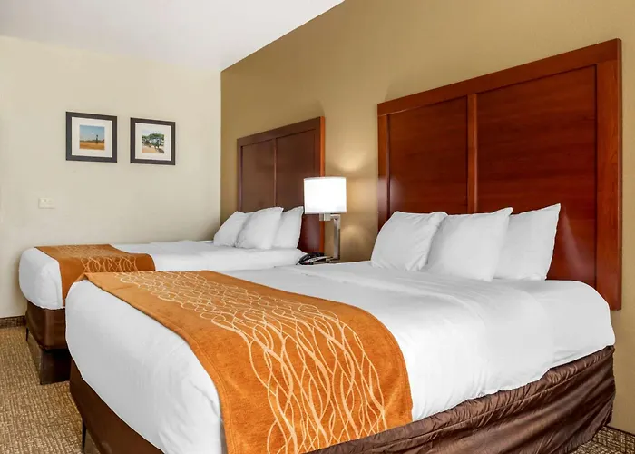 Comfort Near Unt