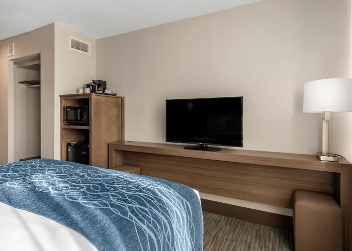 Hotel para famílias: Comfort Inn & Suites Downtown Brickell-Port Of Miami