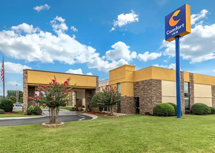 Family Hotel: Comfort Inn Shelby