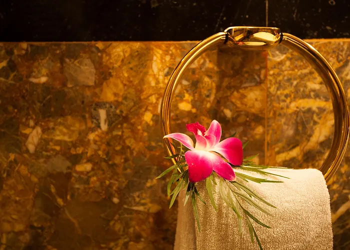 Hôtel accueillant les animaux: Hotel Majestic Saigon