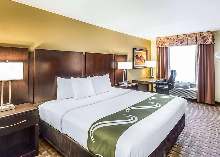 Luxury hotel only: Quality Inn & Suites