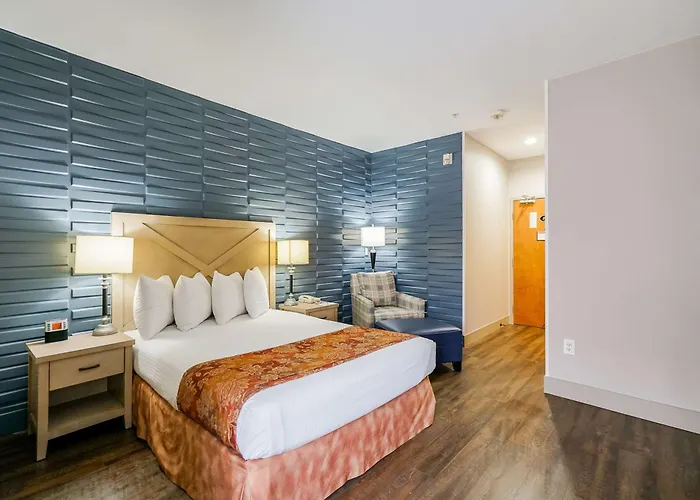 Pets Allowed Hotel Best Western Peace Arch Inn