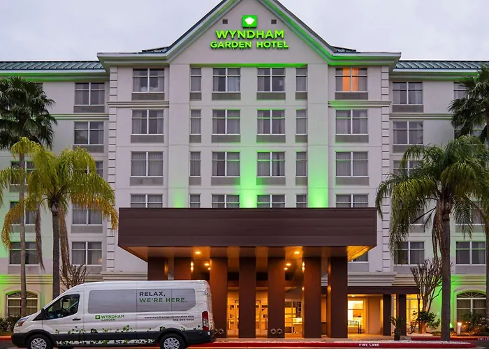 Jacuzzi hotel: Wyndham Garden Mcallen At La Plaza Mall