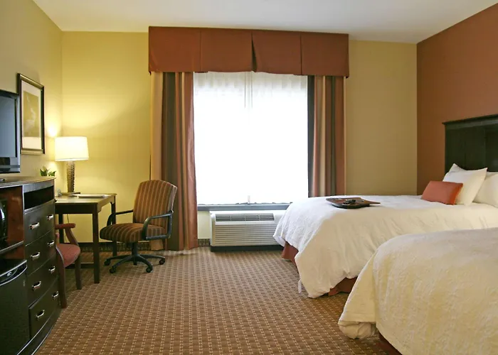 Kid friendly hotel Hampton Inn & Suites Sevierville At Stadium Drive