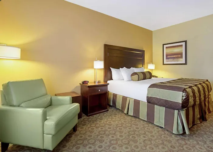 Hotel near College: La Quinta By Wyndham Dickinson