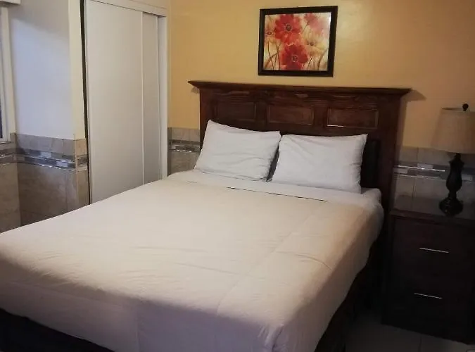 Resort: Suites Leon Rojo