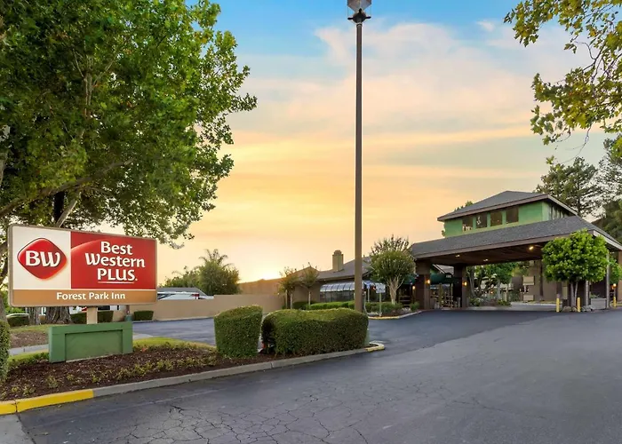 Family Hotel: Best Western Plus Forest Park Inn
