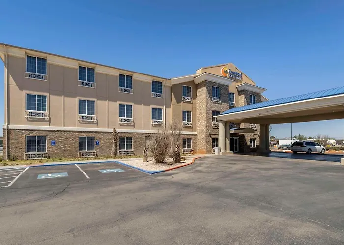 Hotel: Comfort Inn & Suites Andrews