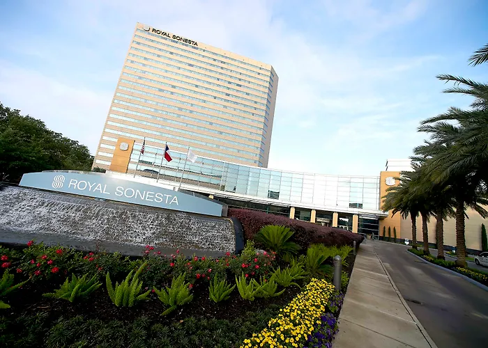 Hôtel Jacuzzi: The Royal Sonesta Houston Galleria