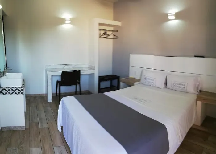 Hotel Gallo