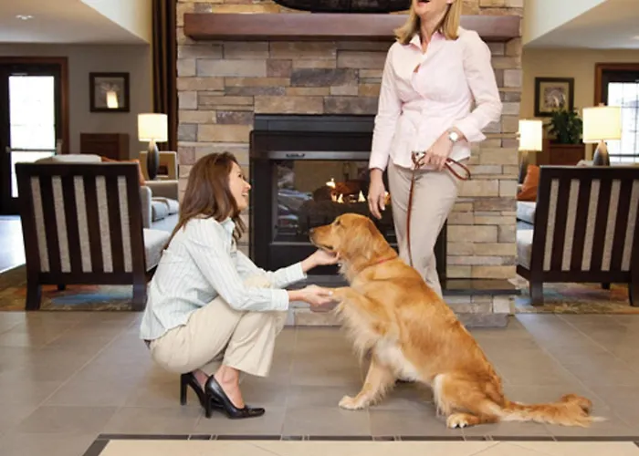 Pet Friendly hotel: Staybridge Suites College Station By Ihg