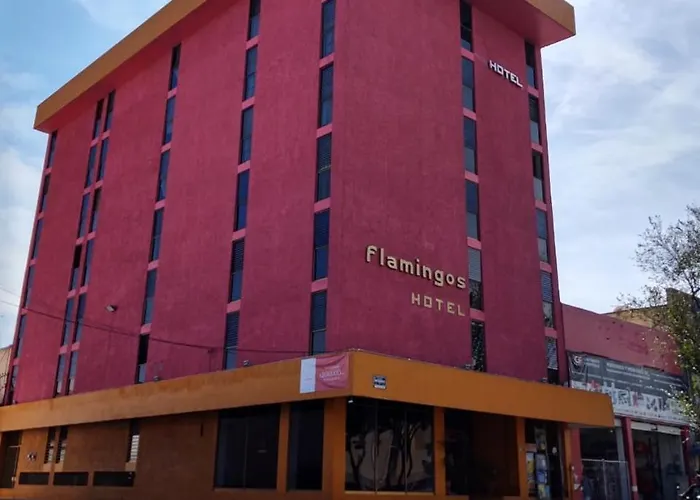 Hotel Flamingos