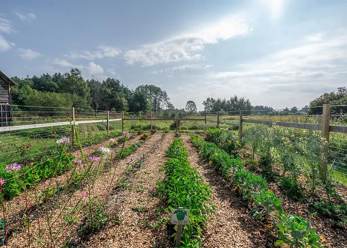 B&B only: Saratoga Farmstead B&B