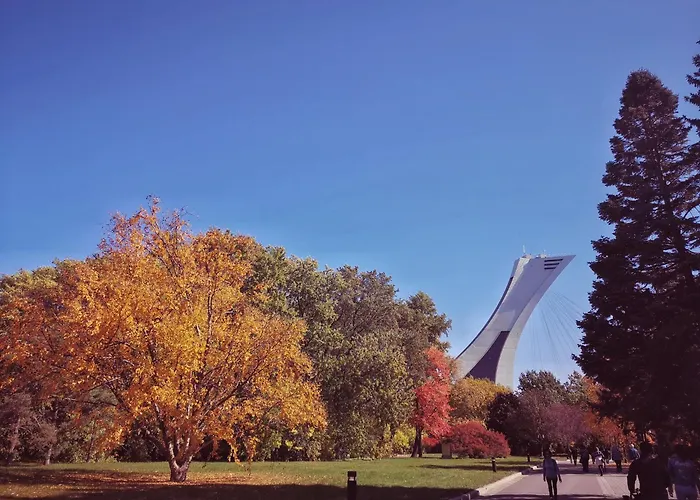 Villa: Homa Homestay Hotel By Olympic Stadium Montreal Auberge-Hostel