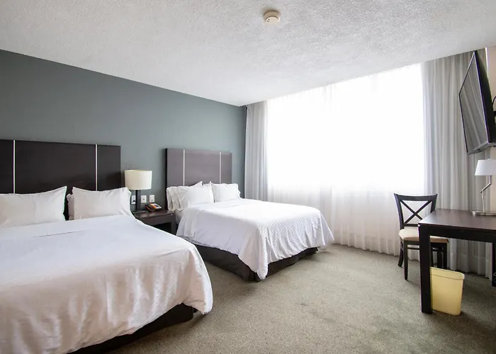 Hotel familiar: Gamma Guadalajara Centro Historico