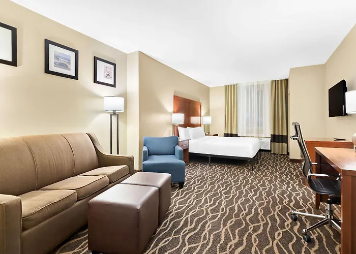 Comfort Suites Tampa Airport North