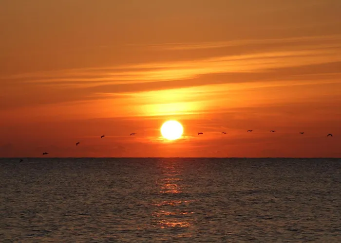 Hotel: Oceanfront Inn And Suites - Ormond