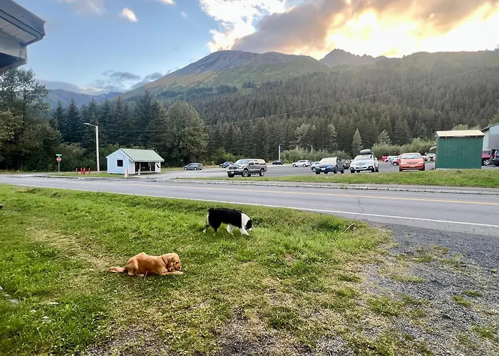 Pet Friendly hotel: Marina Motel