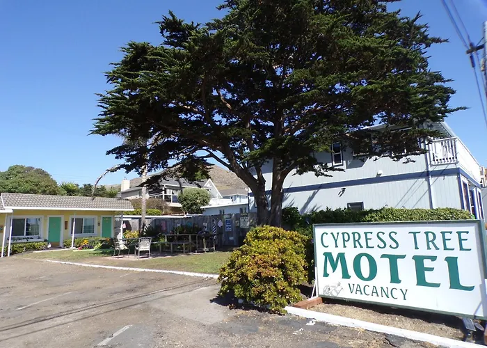 Cypress Tree Motel
