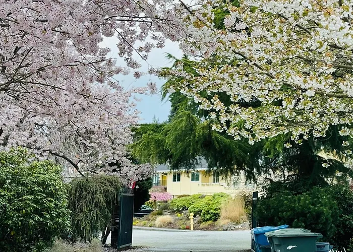 Hotel near College: Villa Rivarola